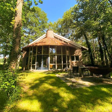 De Paddestoel Villa Wateren Bagian luar foto