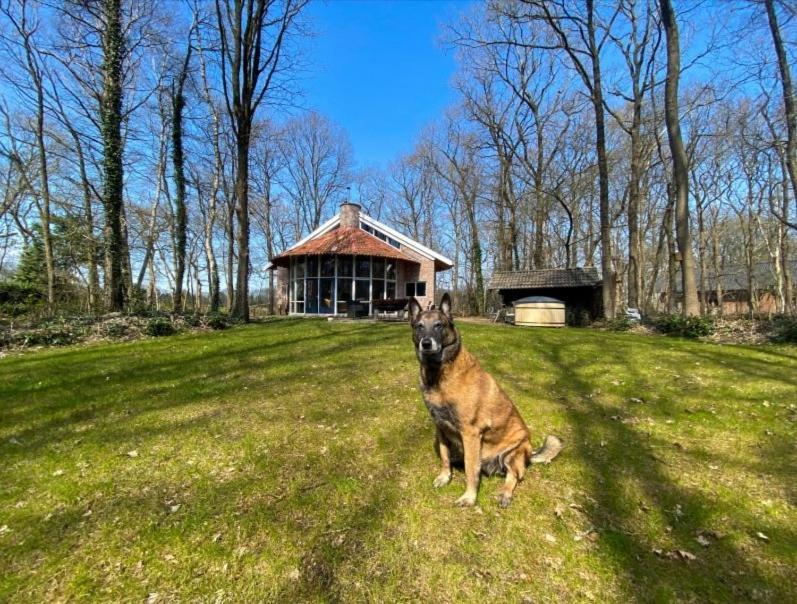 De Paddestoel Villa Wateren Bagian luar foto